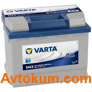 Купить авто аккумулятор Varta Blue Dynamic D43. 60 АЧ L+ Киев, Украина